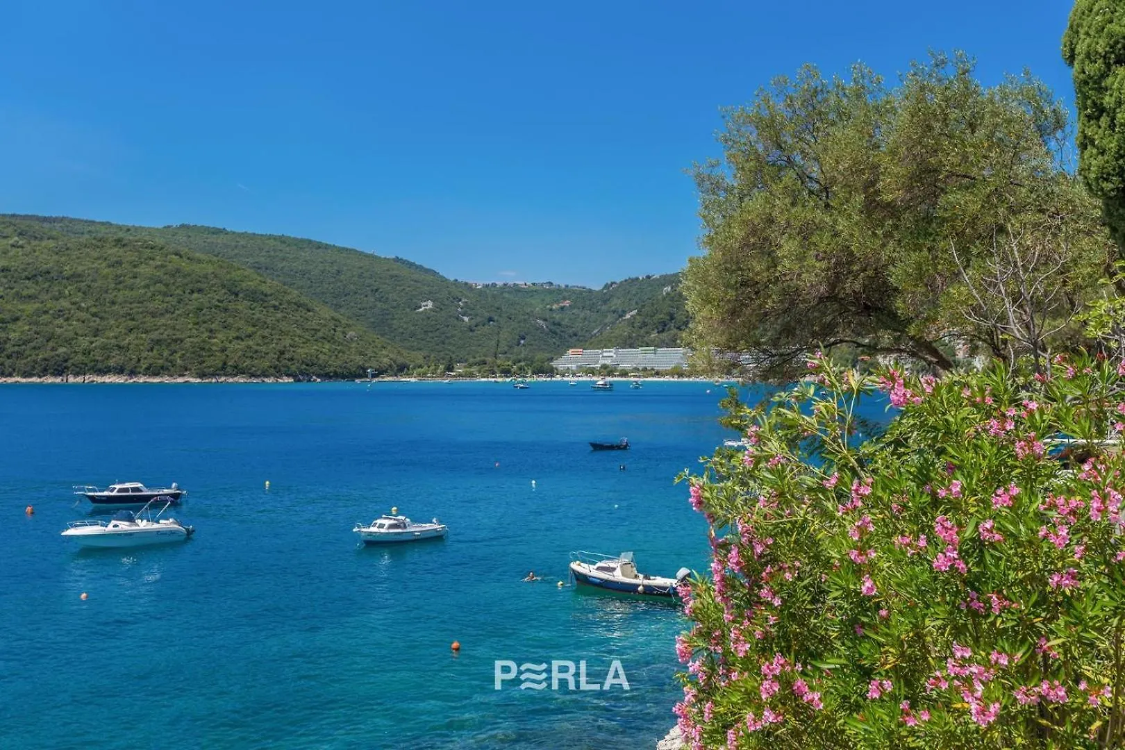 Holiday House Lenu With Pool And Amazing Sea View Drenje  Croatia